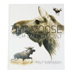 The moose : from calf to adult