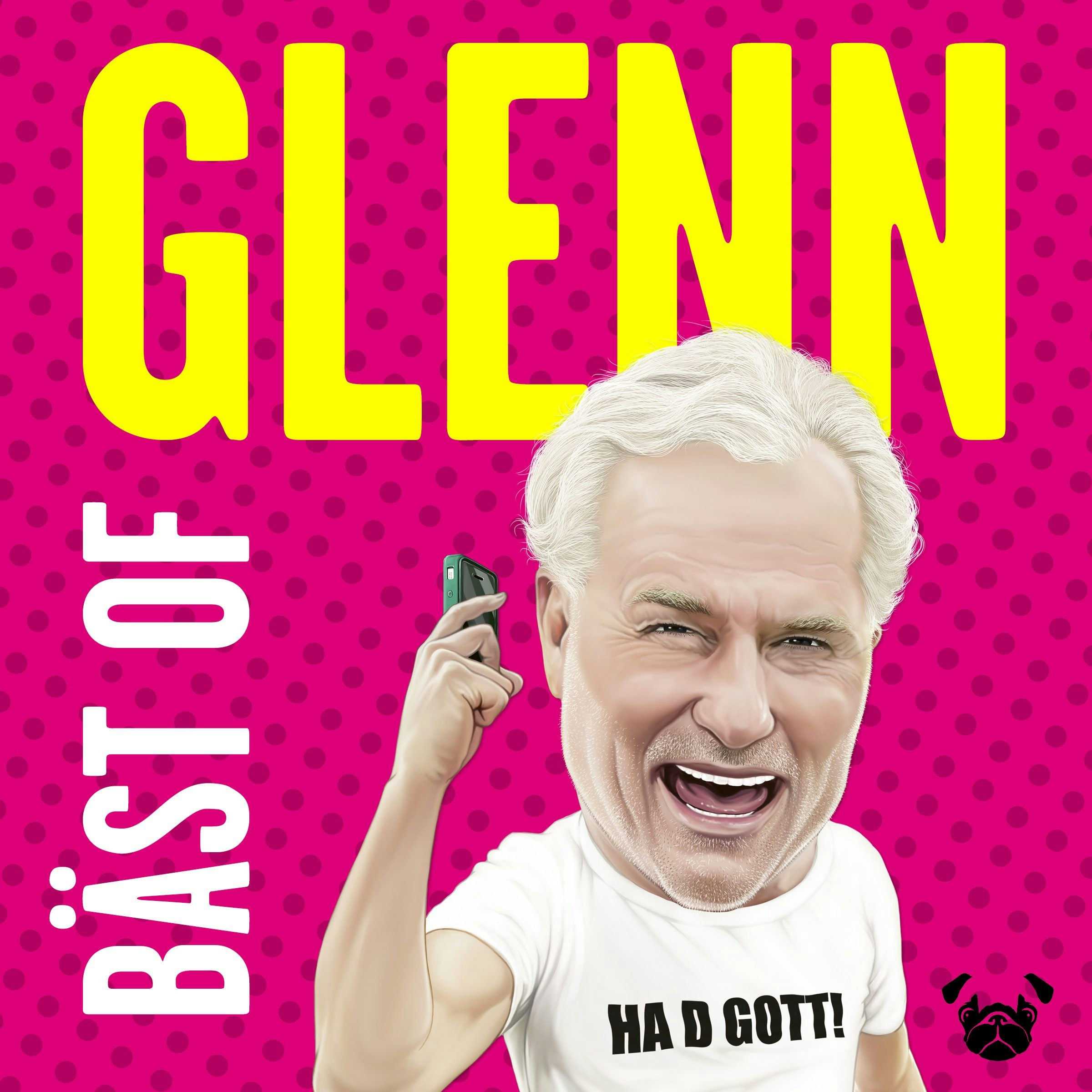 Bäst of Glenn : tankar och tweets från internets goaste gubbe