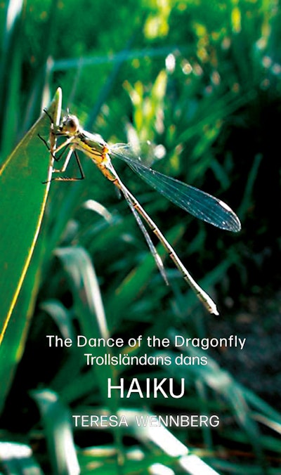 The dance of the Dragonfly / Trollsländans dans
