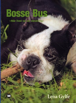 Bosse Bus : när livet tar en vändning