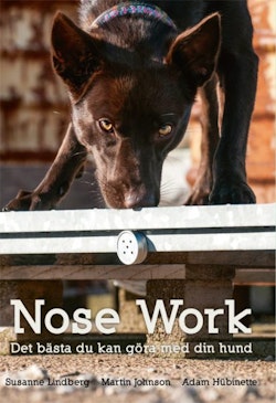 Nose Work-Det bästa du kan göra med din hund